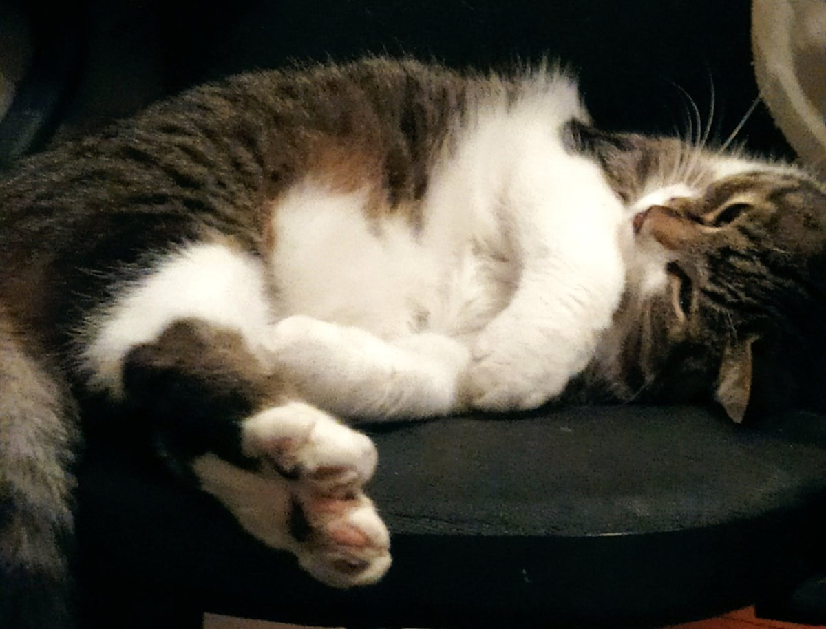 Жорик.Мой сладкий Жорик.