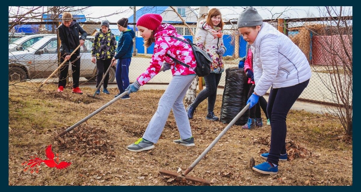 Яндекс картинки