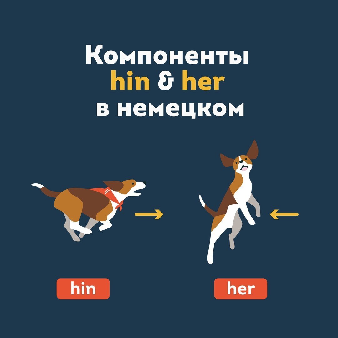 Компоненты hin & her в немецком языке. Разбор темы от lingua franconia. Онлайн-школа немецкого языка