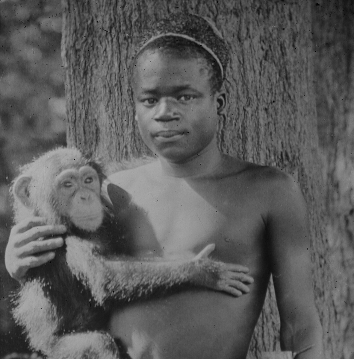 Человек обезьяна название. Люди обезьяны в Австралии. Человек-обезьяна Бразилия 1937.
