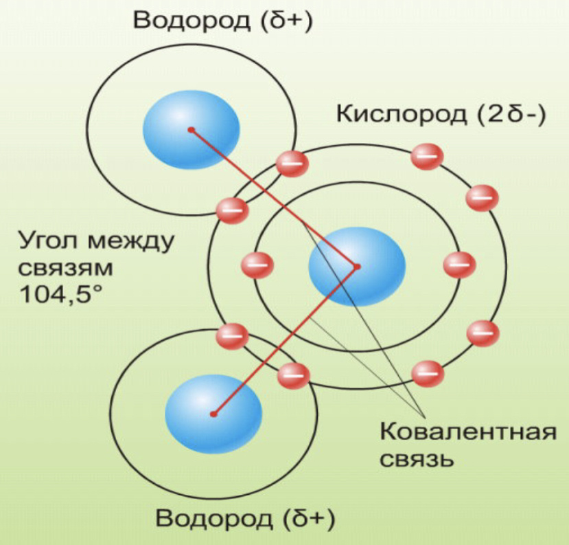 Вода | Строение молекулы, структура в жидком, твердом, газообразном виде