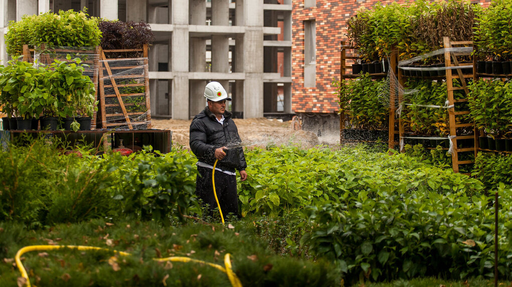 Главное в уходе за растениями — хорошо их поливать. Фото: предоставлено 66.RU компанией «Брусника»