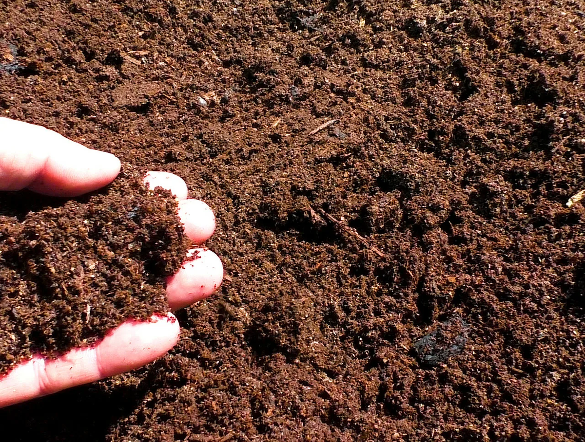 Перегной тоже как  вид органических удобрений