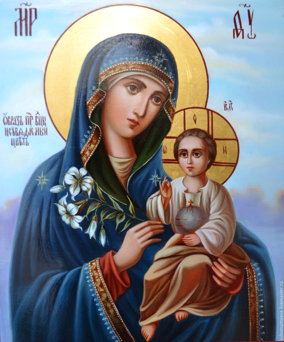 Богородица Дева икона Неувядаемый цвет. Икона Божией матери мати Дево. Матерь благородная