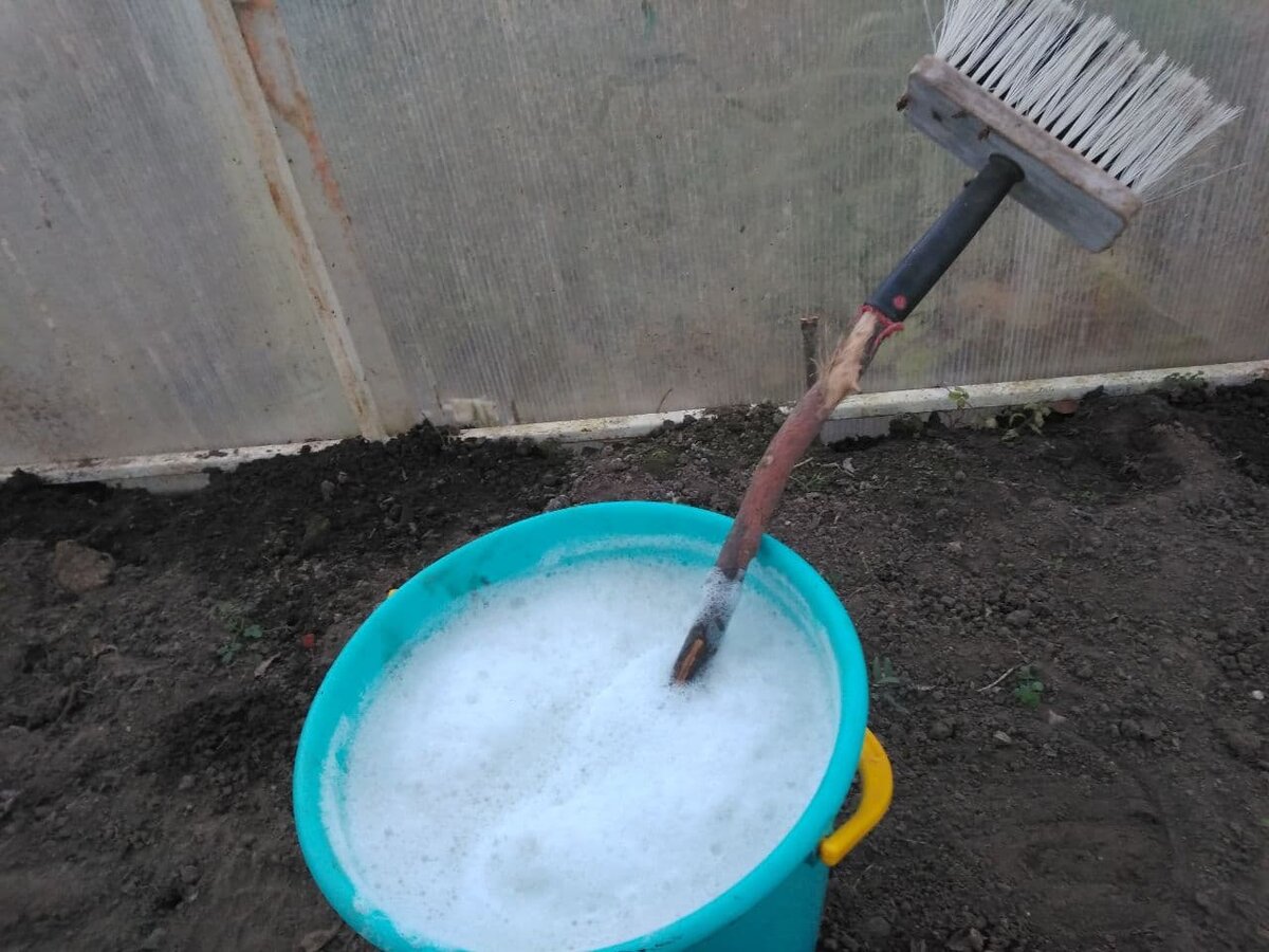 Ведро с разведённым хозяйственным мылом и щётка. Щёткой доставала потолок, а тряпками мыла стены. Стены ещё грязные.