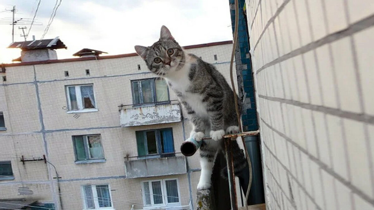 источник фото: storyfox.ru