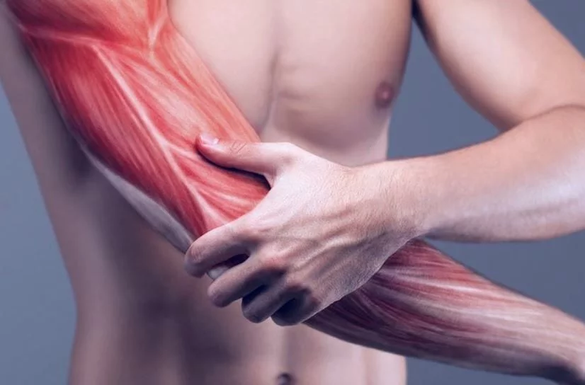 Боли в мышцах