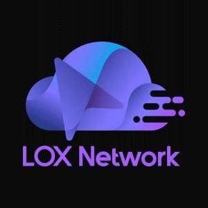 LOX безопасности беспроводных устройств network  обеспечение