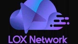 LOX безопасности беспроводных устройств network  обеспечение