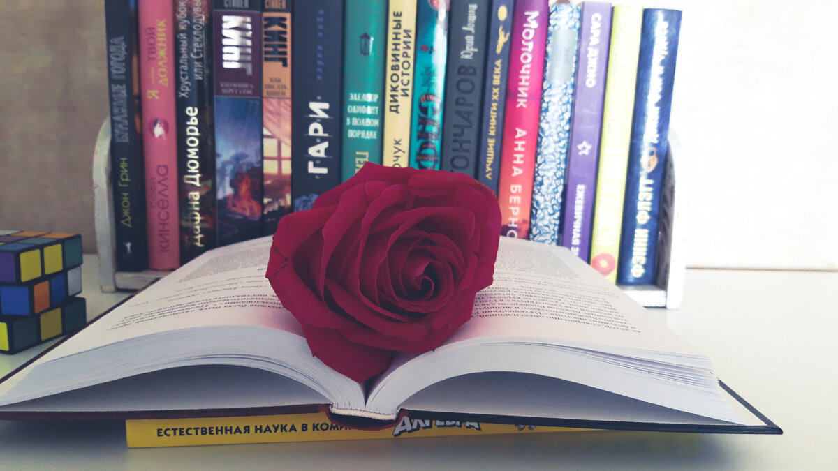 Моя полочка для срочного чтения, на которой кто-то стоит два года и ждет нерадивую читательницу