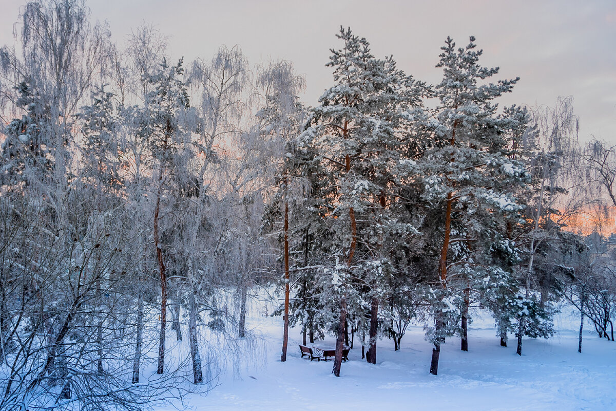 Село Ягодное, Самарской области. Зимняя природа. | Путешествия в отпуске и  не только | Дзен