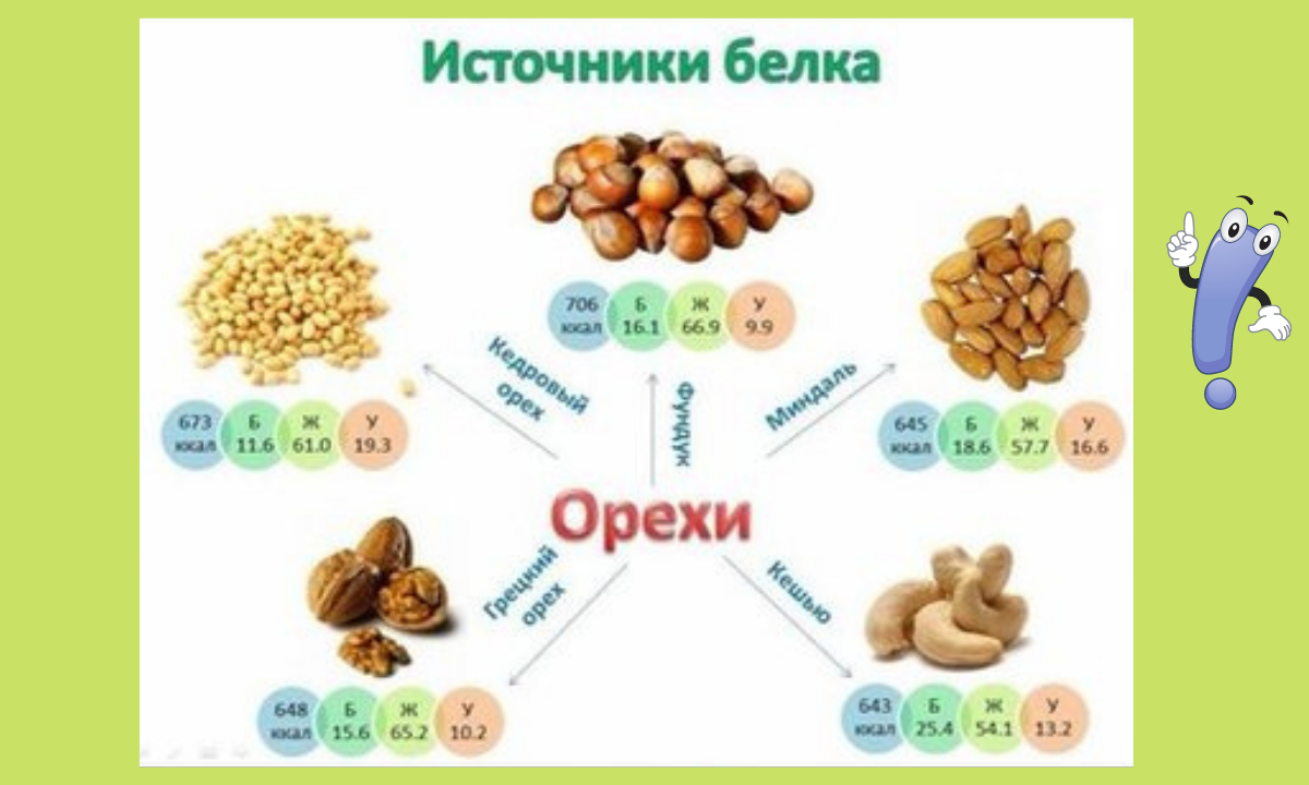 Основные источники белка в питании. В каких орехах много белка. Источник растительного белка таблица. Источники белка в продуктах питания таблица. Растительные белки продукты.