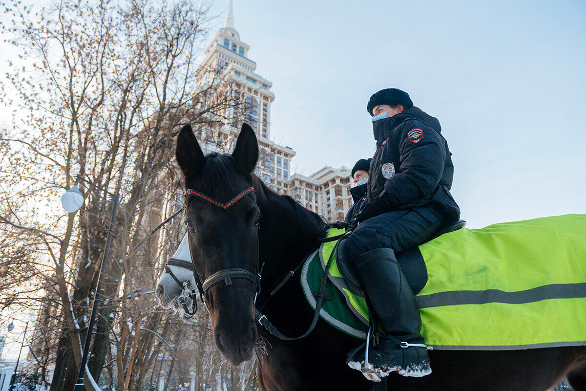 Как работает российская конная полиция (ФОТО) | Узнай Россию | Дзен