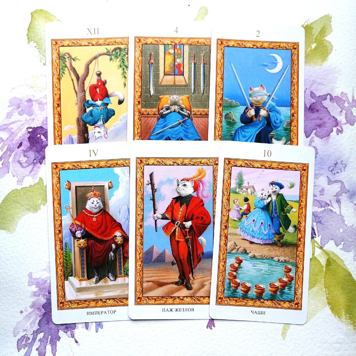 Личное фото автора.