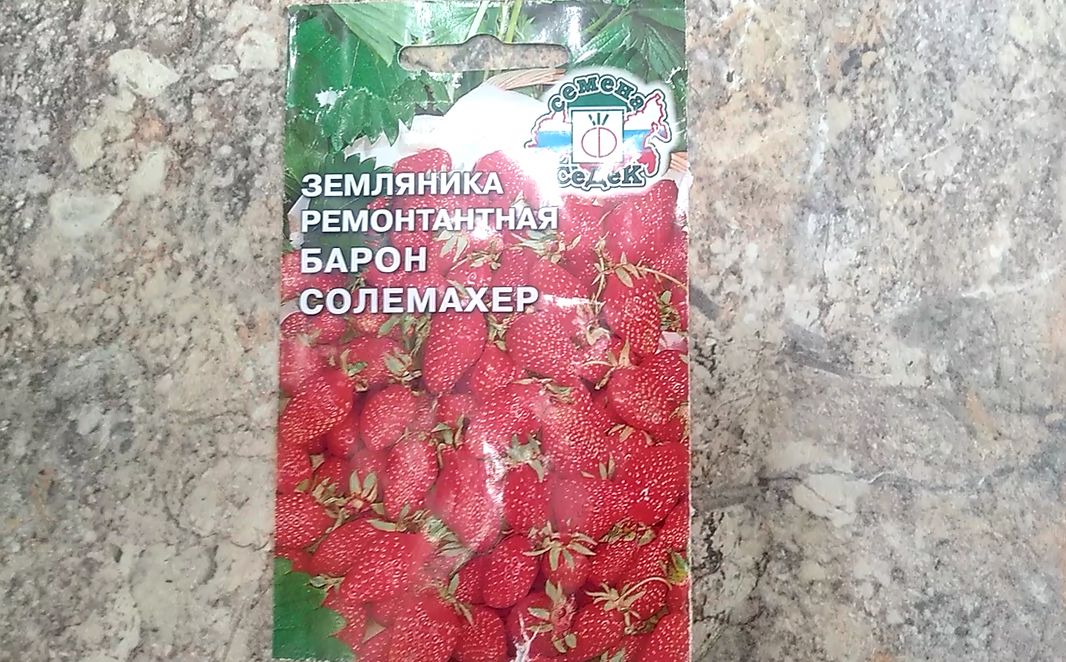 Пакет из-под семян ремонтантной земляники Барон Солемахер компании «Седек». 