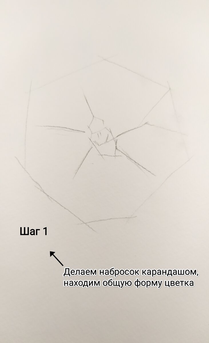 Схема наброска самого цветка 