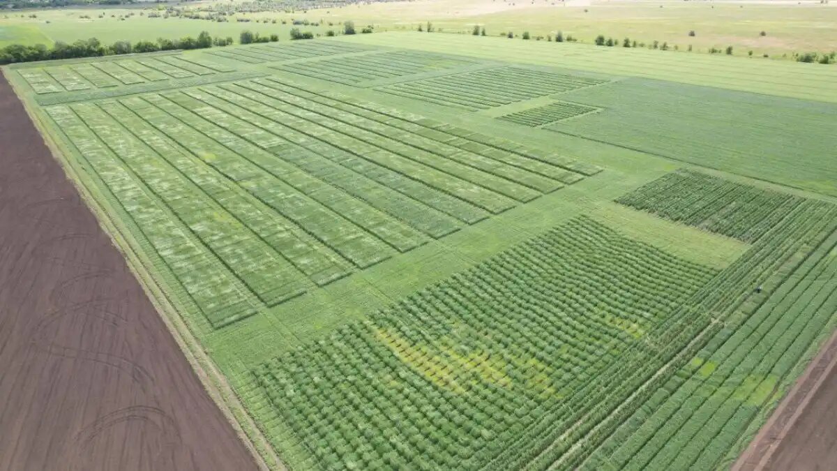 Фото:пресс-служба Соевого союза ПФО