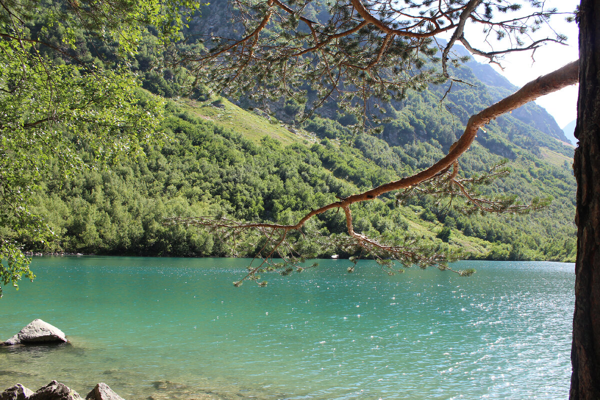 фото сделано автором канала