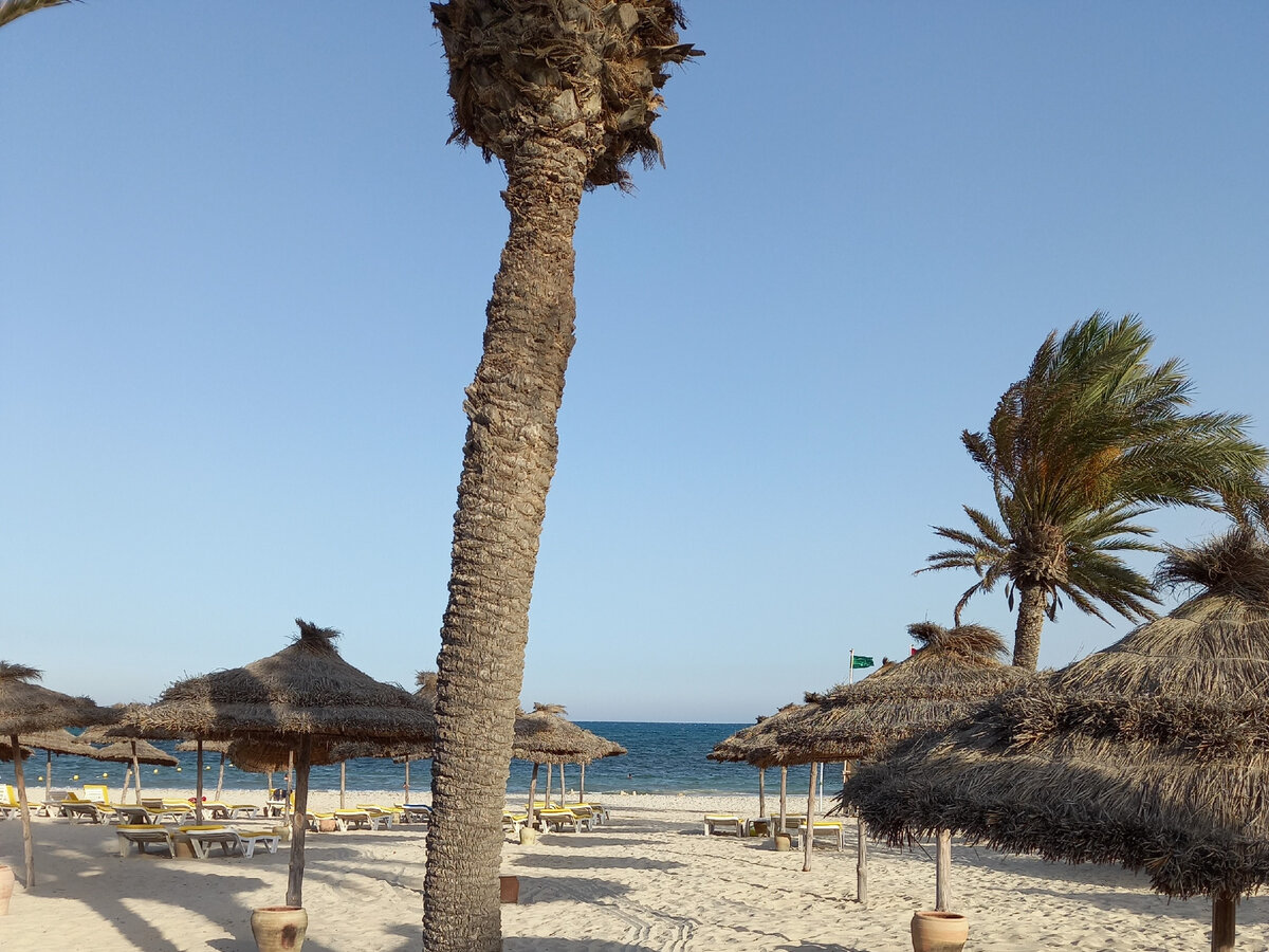 Хорошего дня!