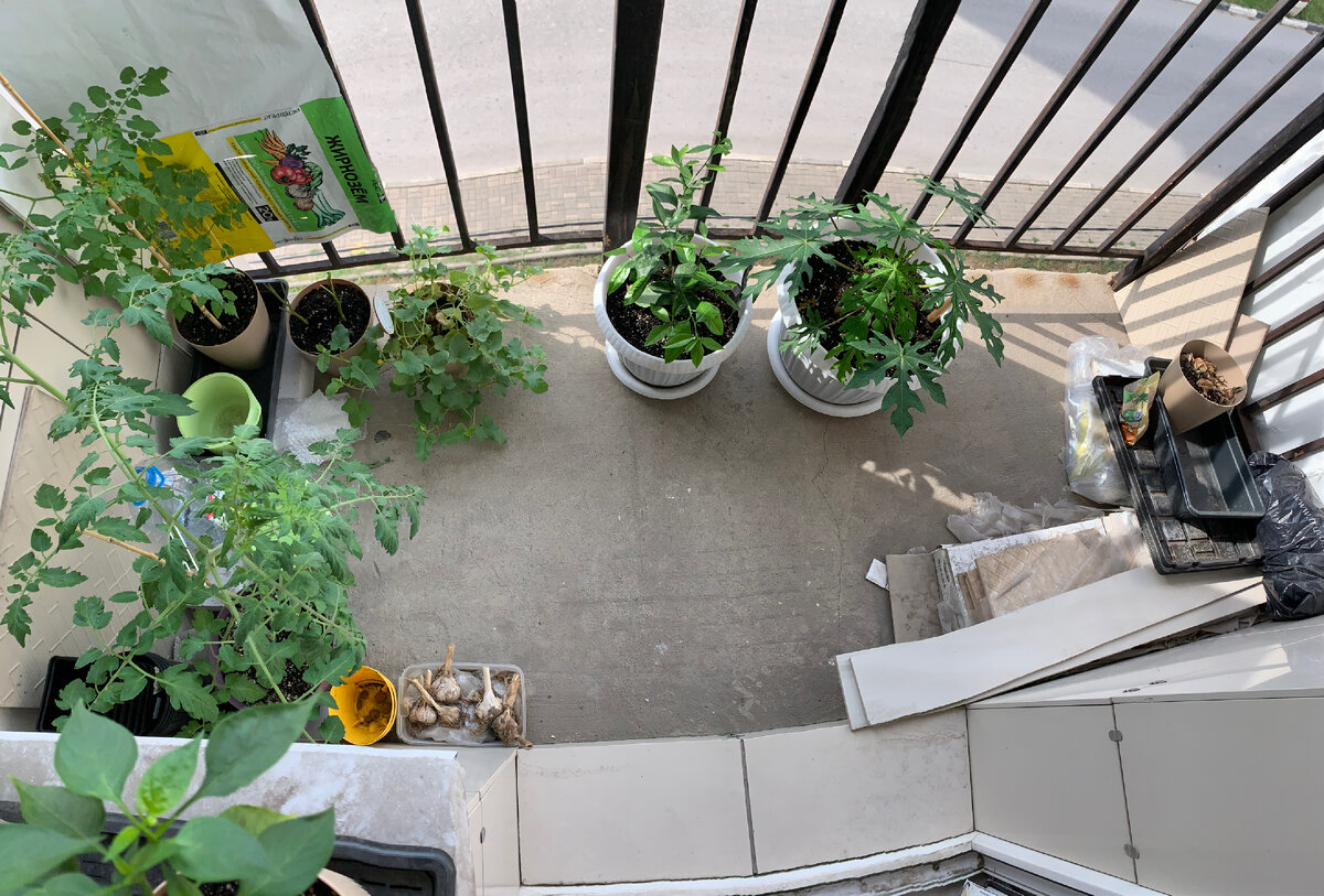 Балкон «до»