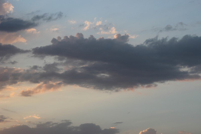 2016,17 ноября.