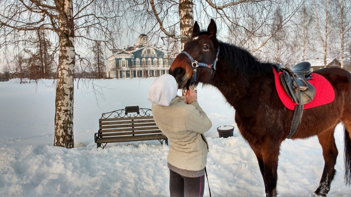 Окончание тренировки на недоуздке.