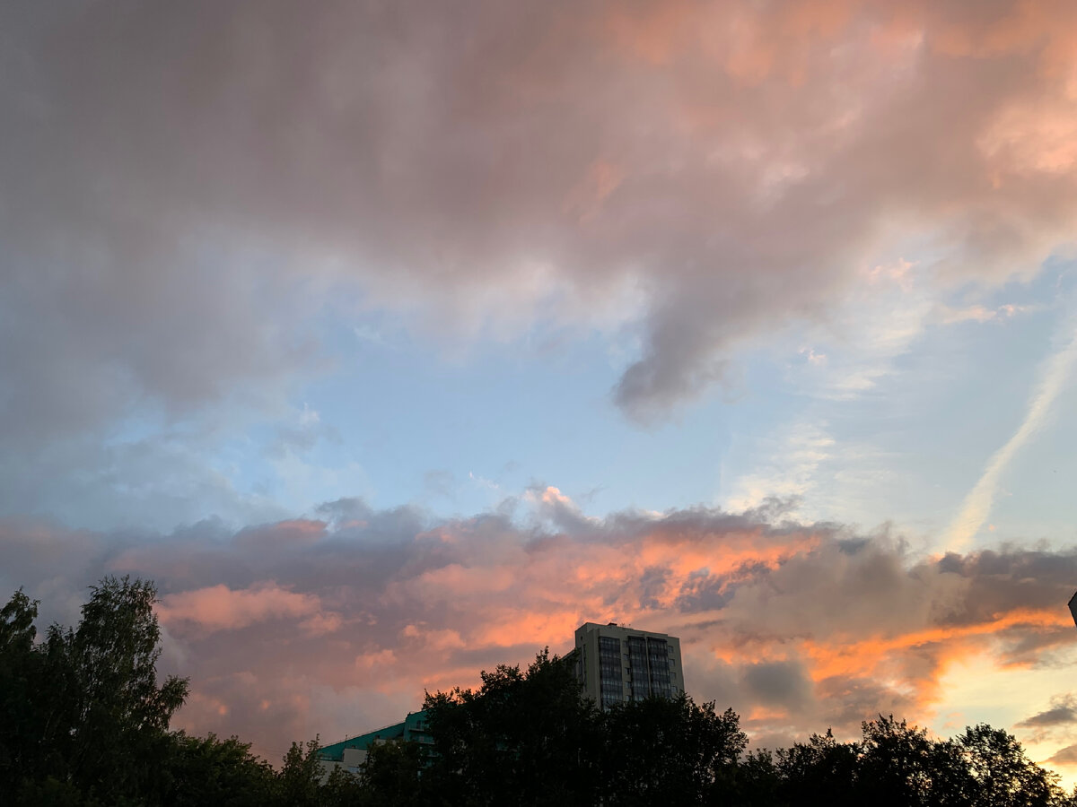 Вид со стадиона 