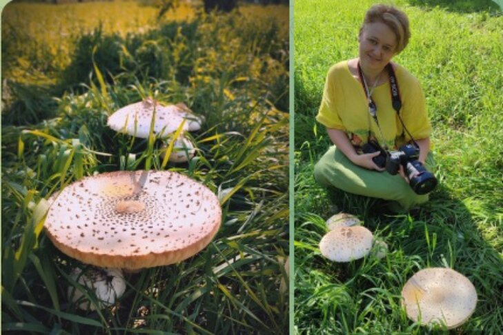 Фотографии предоставлены Алиной Николаевой📷
