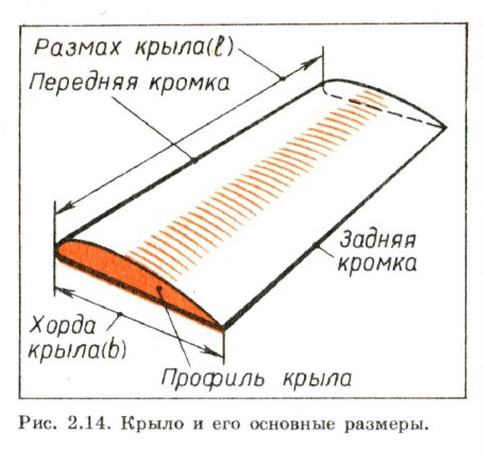 Крыло и его основные размеры