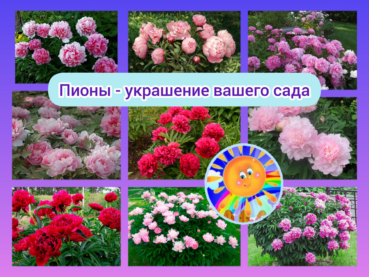 Личный архив 
