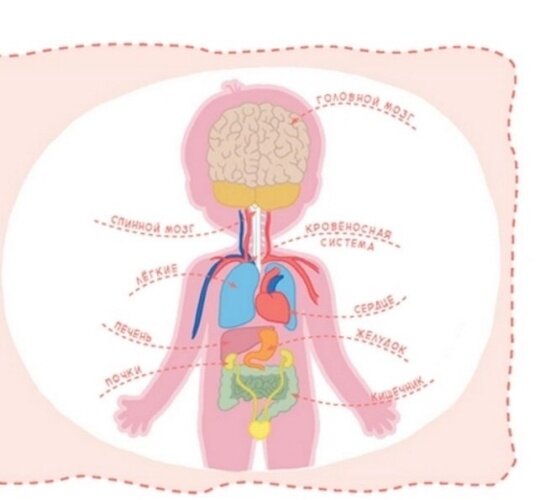Фото взято из открытых источников