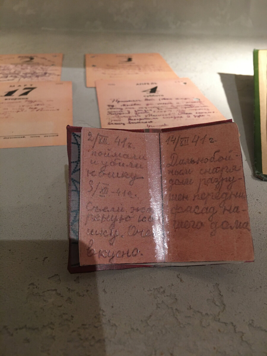 Блокадный дневник. "2 декабря 1941 г. Поймали и убили кошку. 3 декабря 1941 г. Съели жареную кошку. Очень вкусно. 14 декабря 1941 г. Дальнобойным снарядом разрушен передний фасад нашего дома"