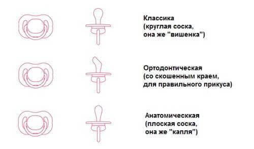 Какую пустышку выбрать для новорожденного? Советы в статье