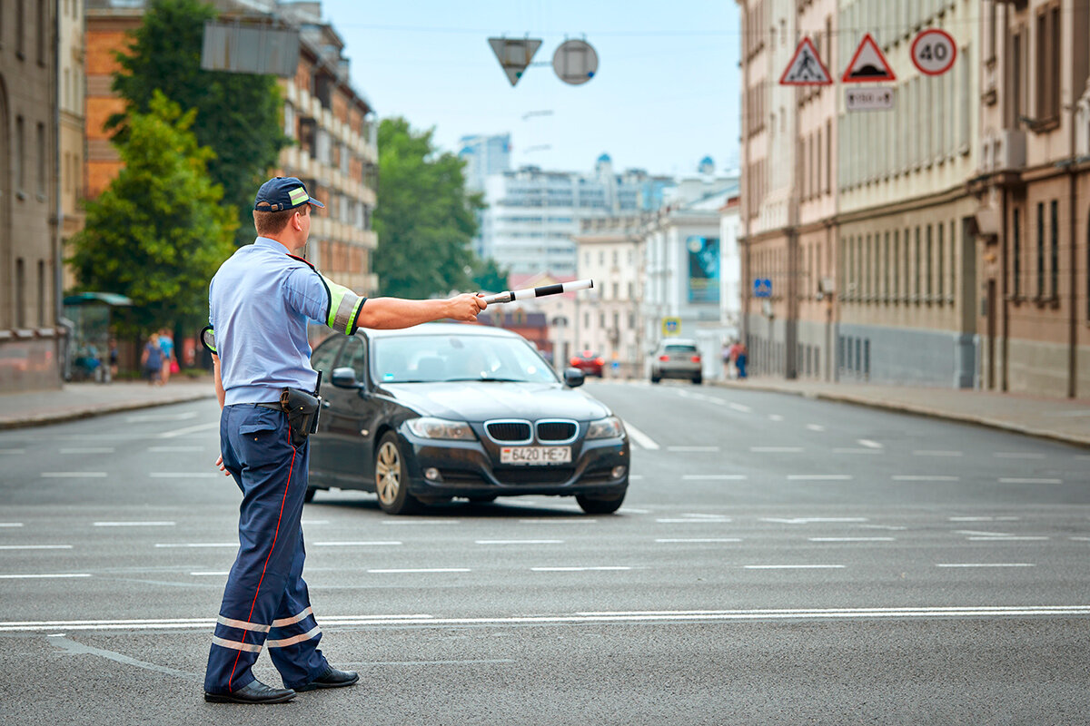    Фото: Tricky_Shark/ Shutterstock.com