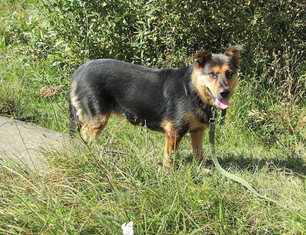    Приют «Майский День» открыл свой ботанический сад