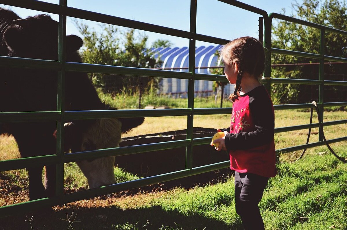  Ученикам Тавричанской школы провели экскурсию на предприятии «Асканийское» - Таврия ТВ - Херсон