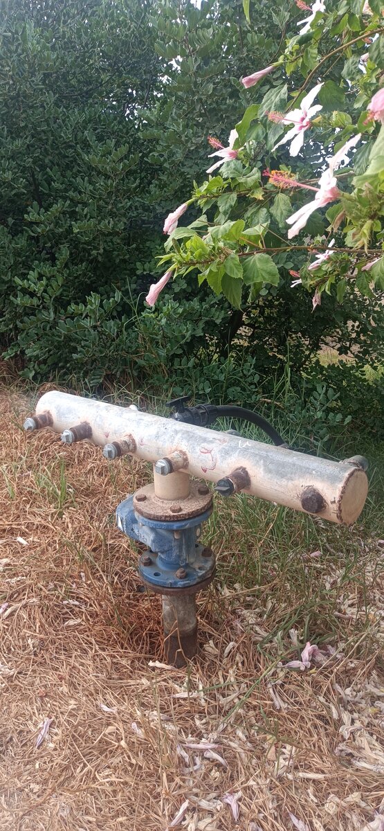 Вот такие колонки есть у оливковых полей для полива (фото автора)