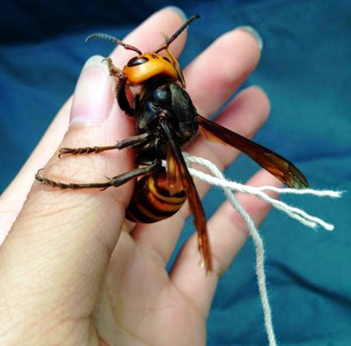 Мы найдём тебя и всю твою семью!