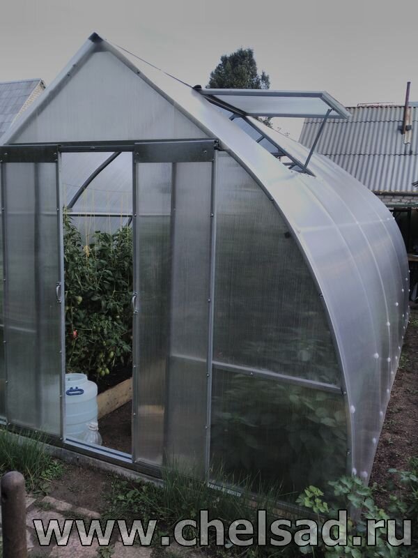 Теплица из оцинкованного железа и сотового поликарбоната - мое фото