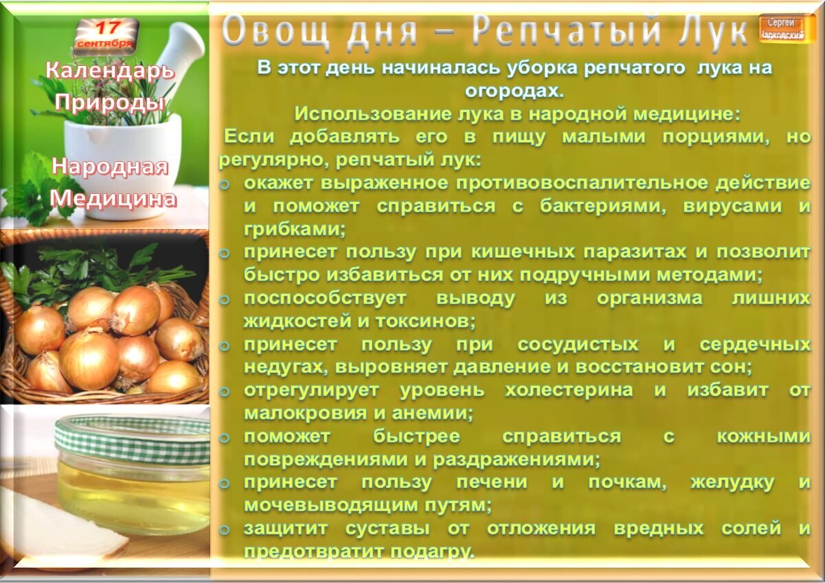 17 сентября - Приметы, обычаи и ритуалы, традиции и поверья дня. Все  праздники дня во всех календарях. | Сергей Чарковский Все праздники | Дзен