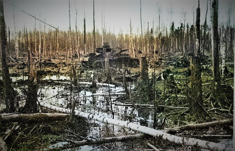 Болота под Синявиным. Немецкая "четверка" видимо осталась здесь еще с зимы. Раскрашено.