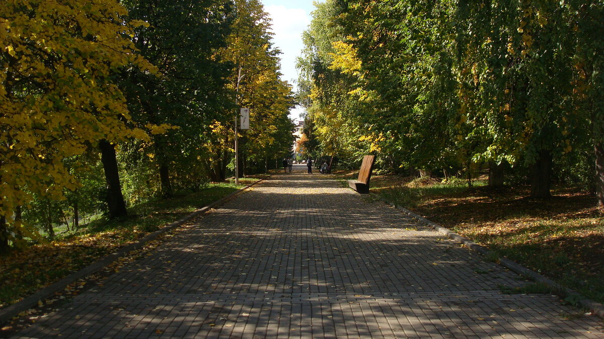 Проезд по аллее