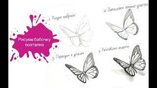 Рисуем бабочку в графике поэтапно 🦋 Урок пошаговый для начинающих