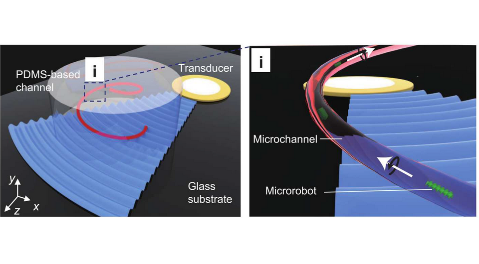   Y. Deng et al. / Science Advances