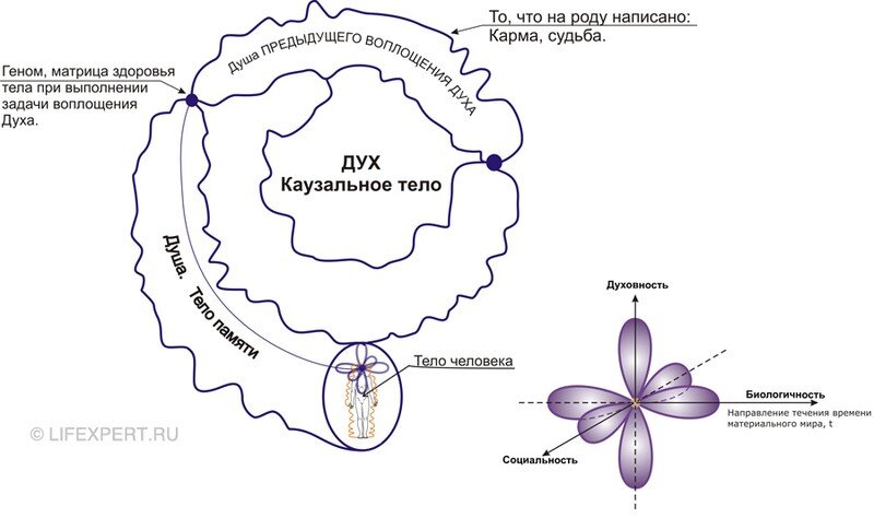 Рис. 1. Графическая структура реинкарнации - переселения, перевоплощения души