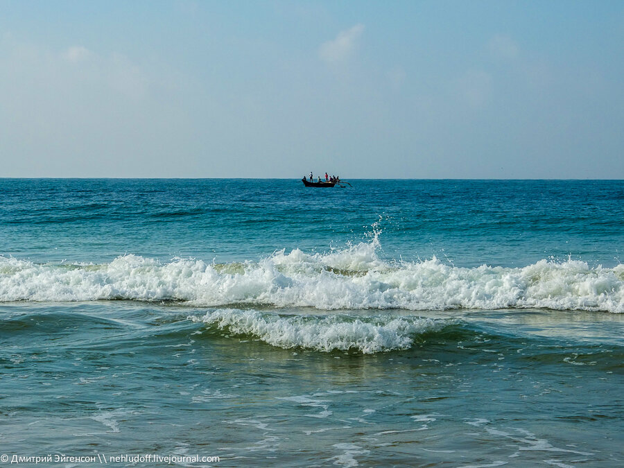 Кстати, вот и они, возвращаются с прибрежного лова.

