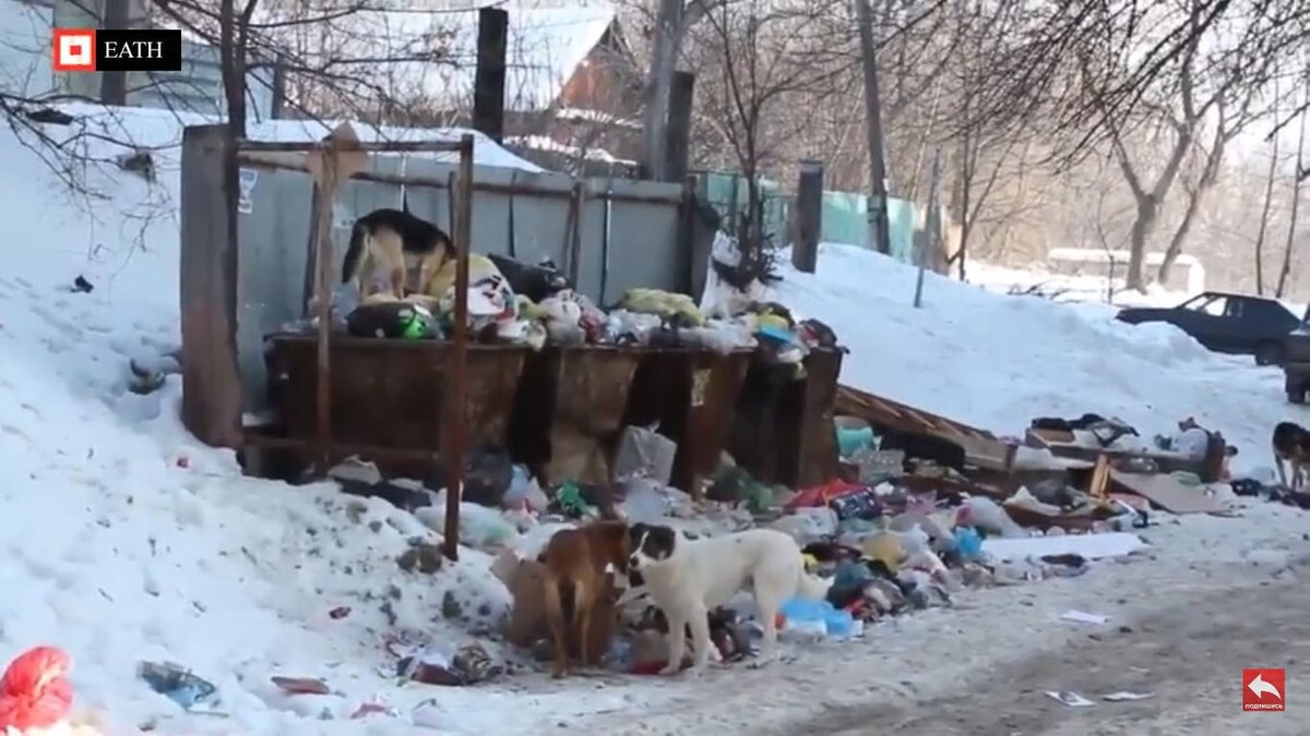 с мусором, как мы видим, дела обстоят неплохо...