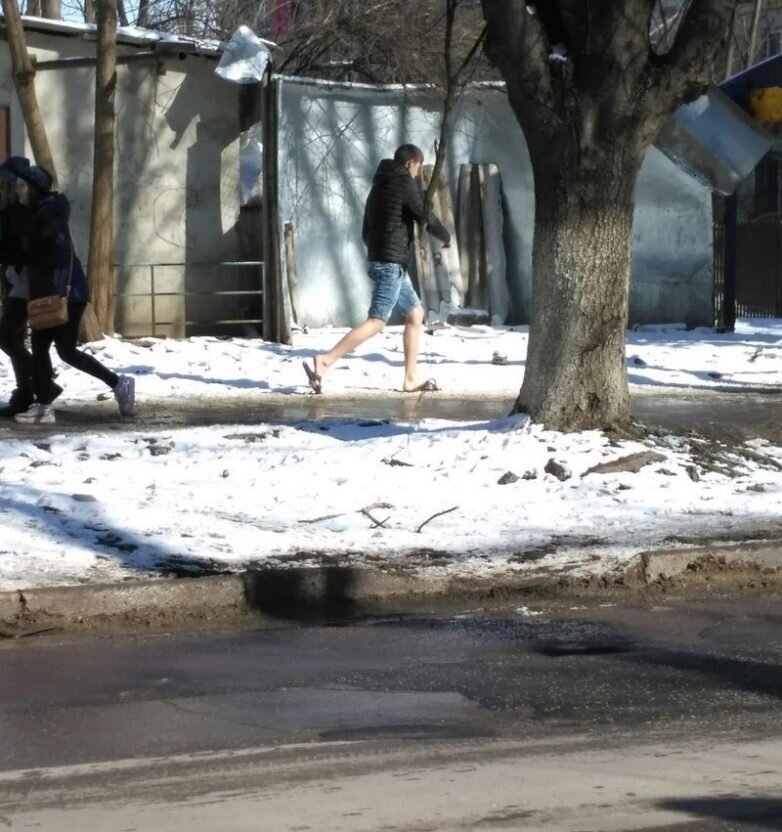 Уж нет никаких сил терпеть. Ну давай же, зима, проваливай!                          Понравилось? Покажите Друзьям!-7