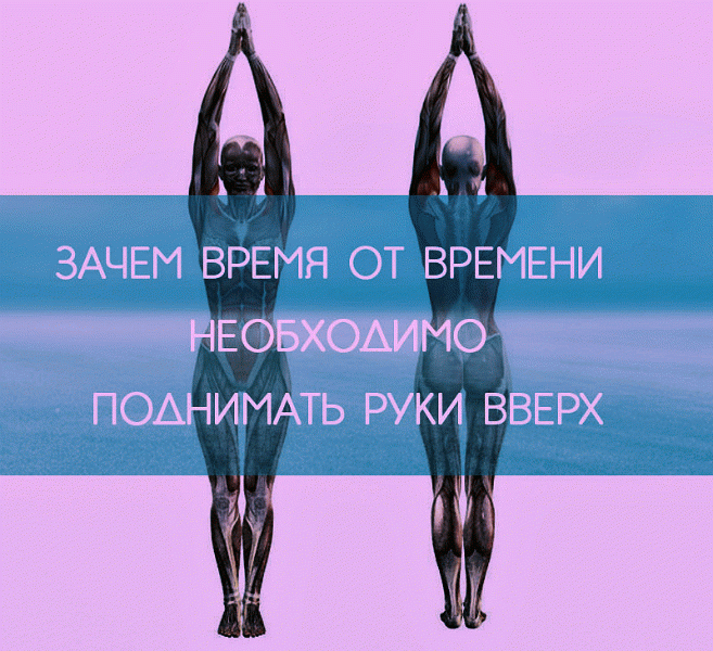  Естественное положение рук человека — опущенные вниз. Но, как утверждают физиотерапевты, очень полезно в течение дня поднимать их вверх.  Во-первых, при поднятых руках желудочно-кишечный тракт становится менее извилистым, что способствует быстрому прохождению пищи. Таким образом происходит профилактика процессов гниения и брожения, развития дисбактериоза.