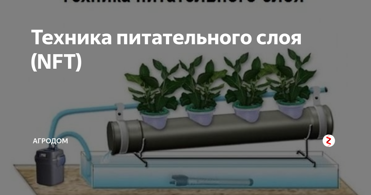 Электронные картинки nft